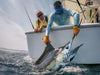 Fishing Guatemala Luxury Package 3 Days Fishing - Pacific Fins Resort Guatemala