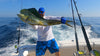 Fishing Guatemala Luxury Package 3 Days Fishing - Pacific Fins Resort Guatemala