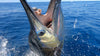 Fishing Guatemala Luxury Package 3 Days Fishing - Pacific Fins Resort Guatemala