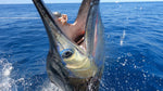 Fishing Guatemala Luxury Package 3 Days Fishing - Pacific Fins Resort Guatemala